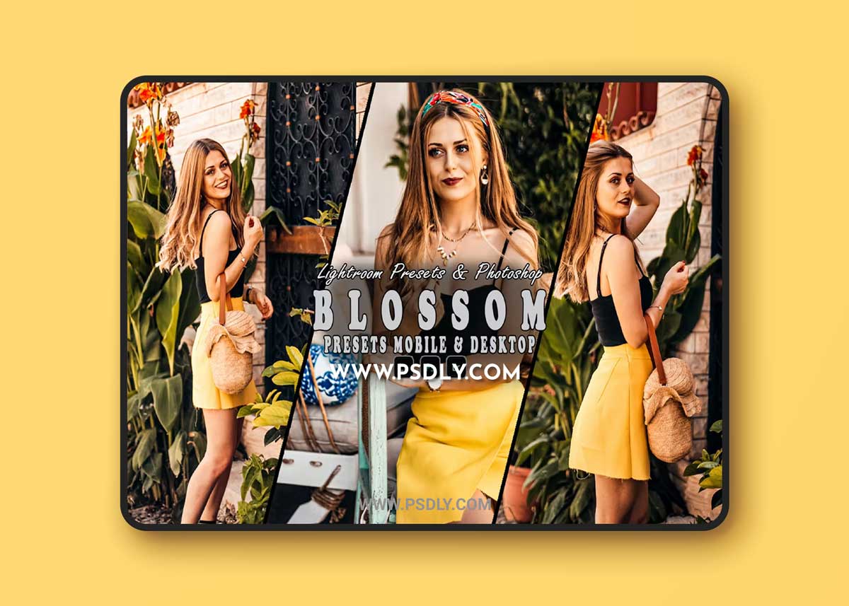 Blossom Action & Lightrom Presets