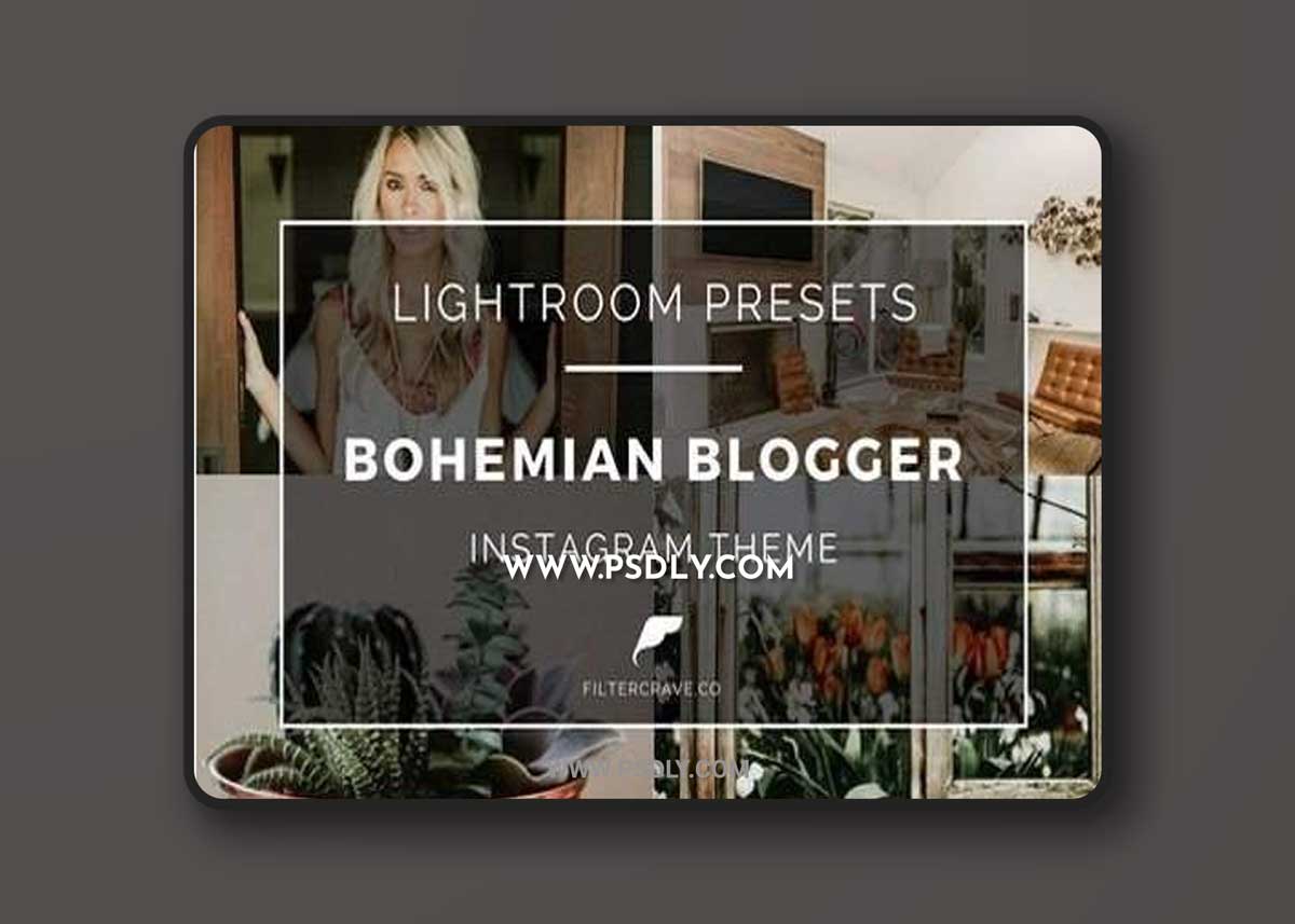 Bohemian Blogger Lightroom Presets 2400478