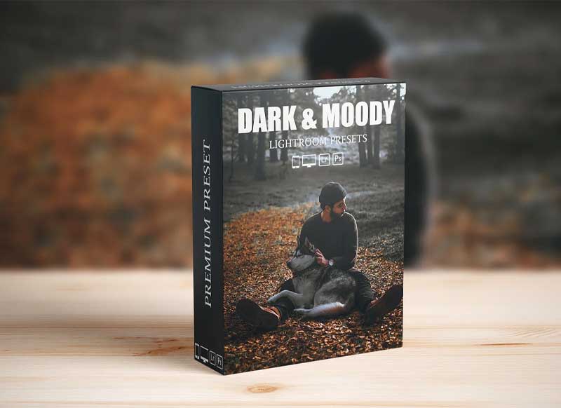 CreativeMarket - Dark and Moody Lightroom presets 6281502