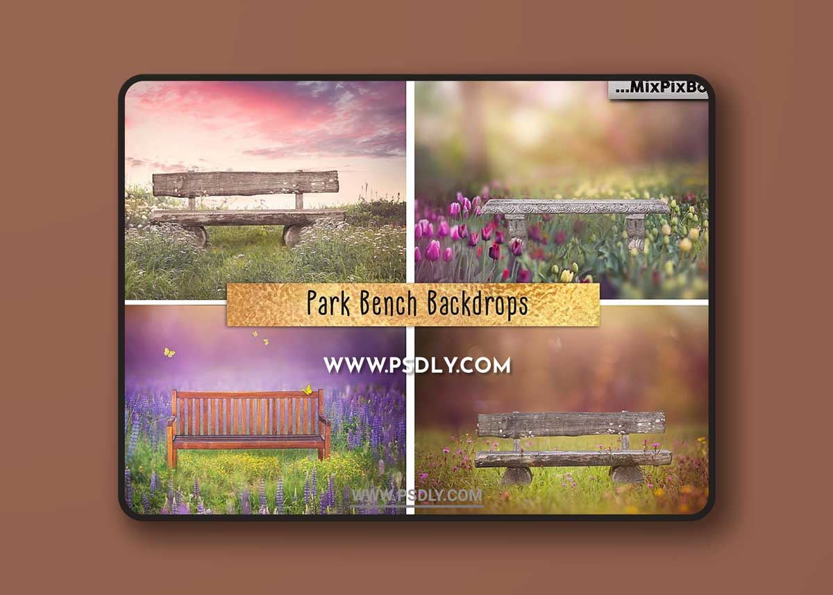 CreativeMarket - Park Bench Backdrops 5013302