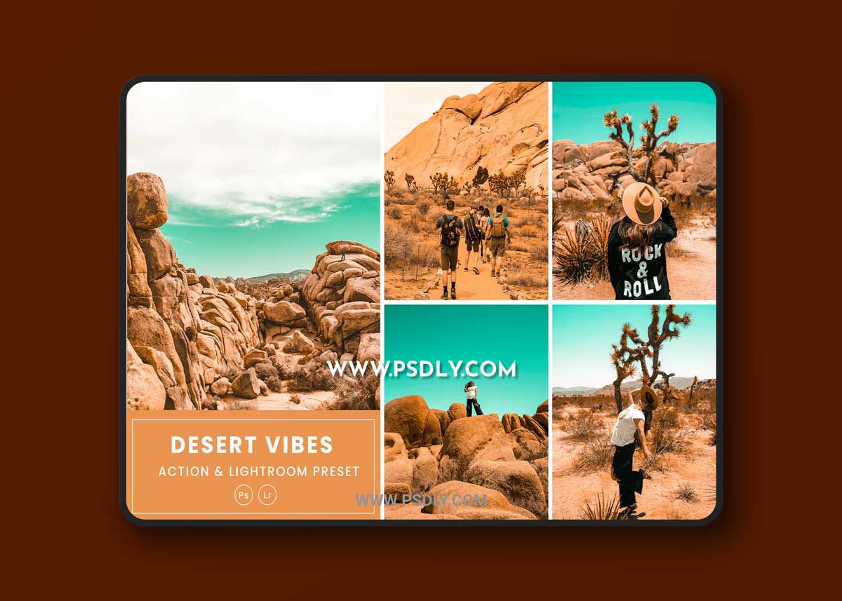 Desert Vibes Tones Action & Lightrom Presets