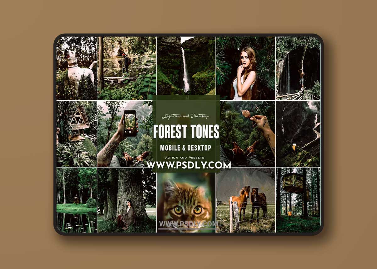 Forest Tones -Photoshop Actions Lightroom Presets