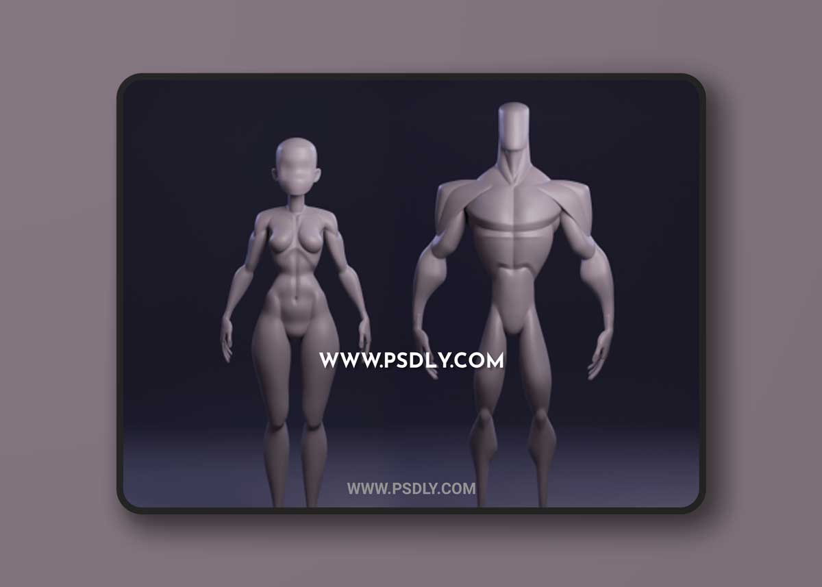 Gumroad – Male and Female Stylized Blockouts