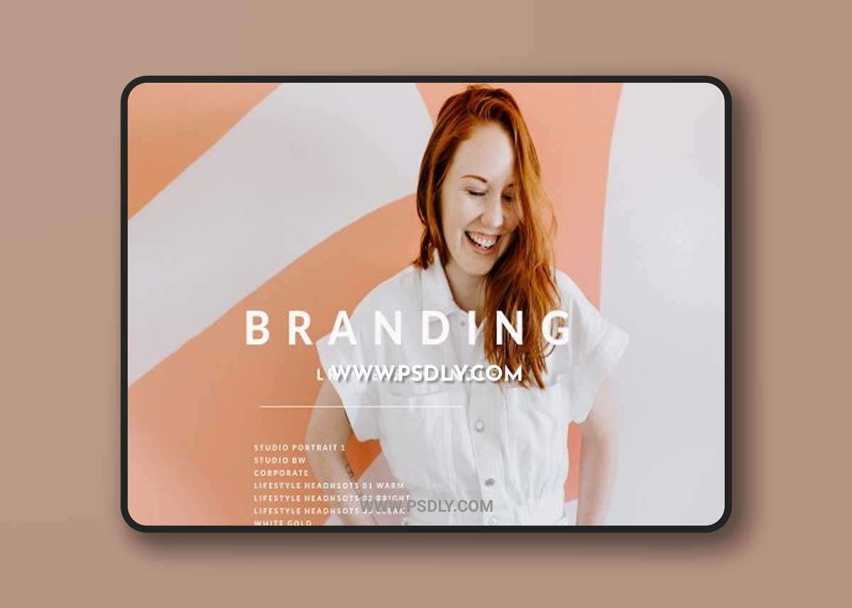Jenny Wu - Branding Lightroom Preset Bundle / 10 Presets For Headshots and Business Branding