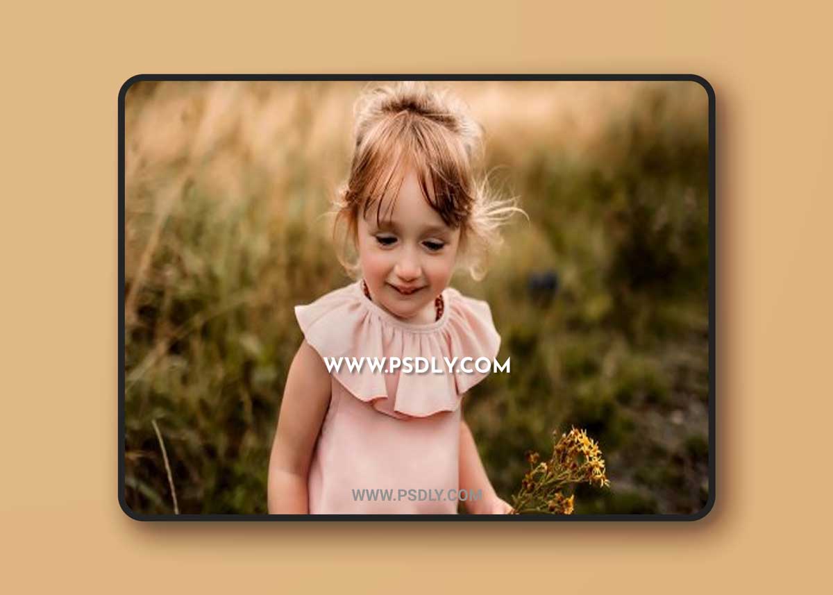 Lady Tori Photography - Golden Evenings Presets