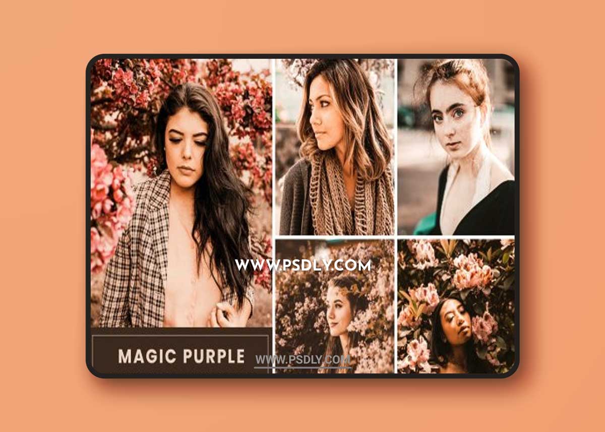 Magic Purple Action & Lightrom Presets