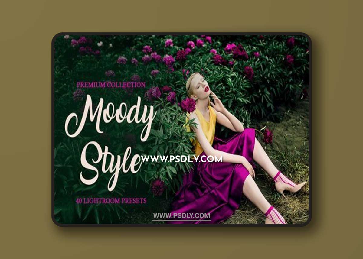 Moody Style Presets for Lightroom 4291241