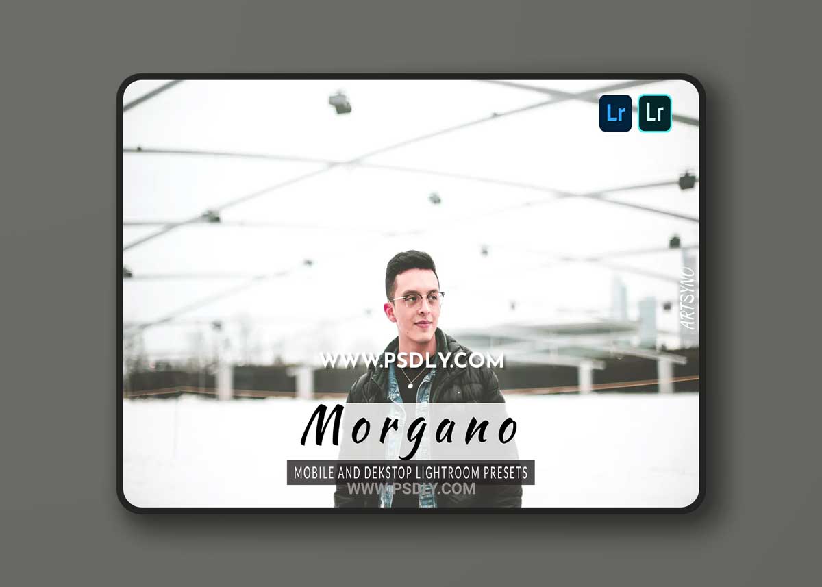 Morgano Lightroom Presets Dekstop and Mobile