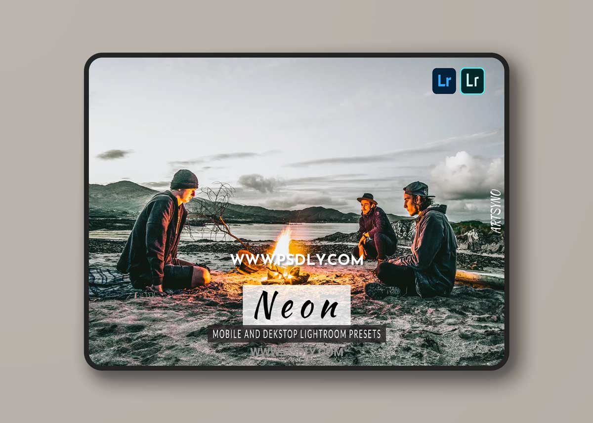 Neon Lightroom Presets Dekstop and Mobile
