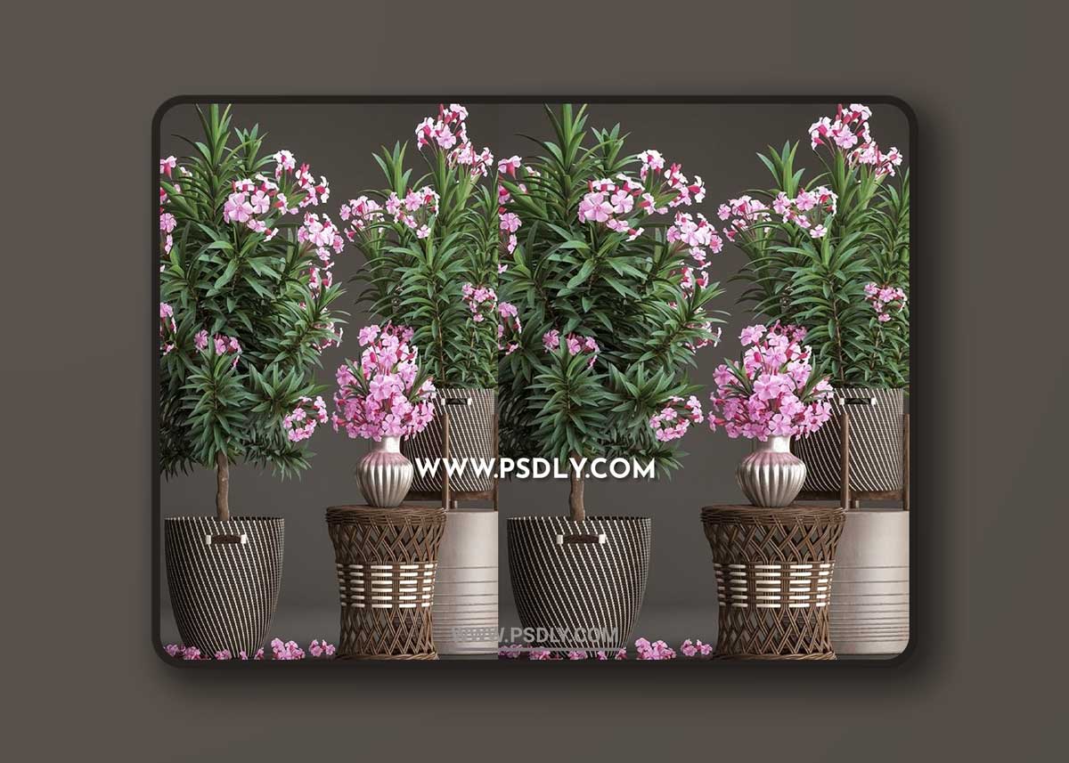 Plant collection 268 3D Model