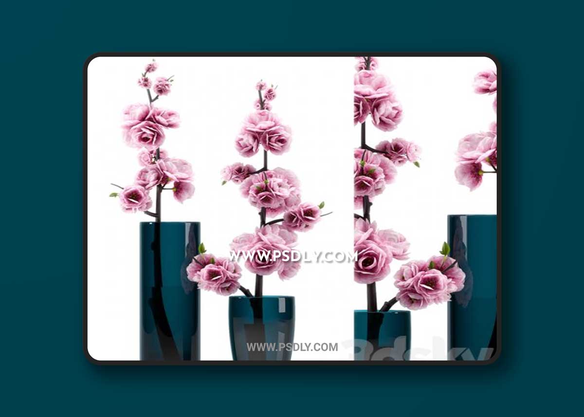 SPRING FLOWERS 3D Models