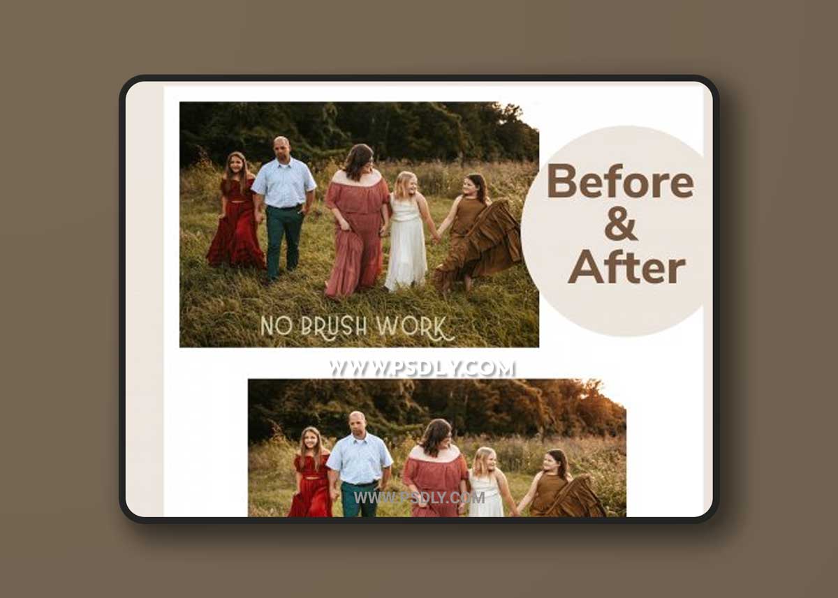 White Pine Photography - Atticus Collection - Bold Brushes