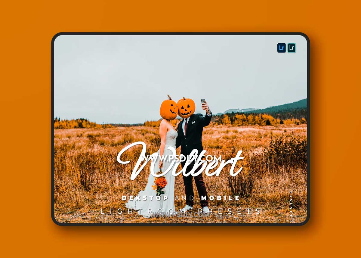 Wilbert Desktop and Mobile Lightroom Preset