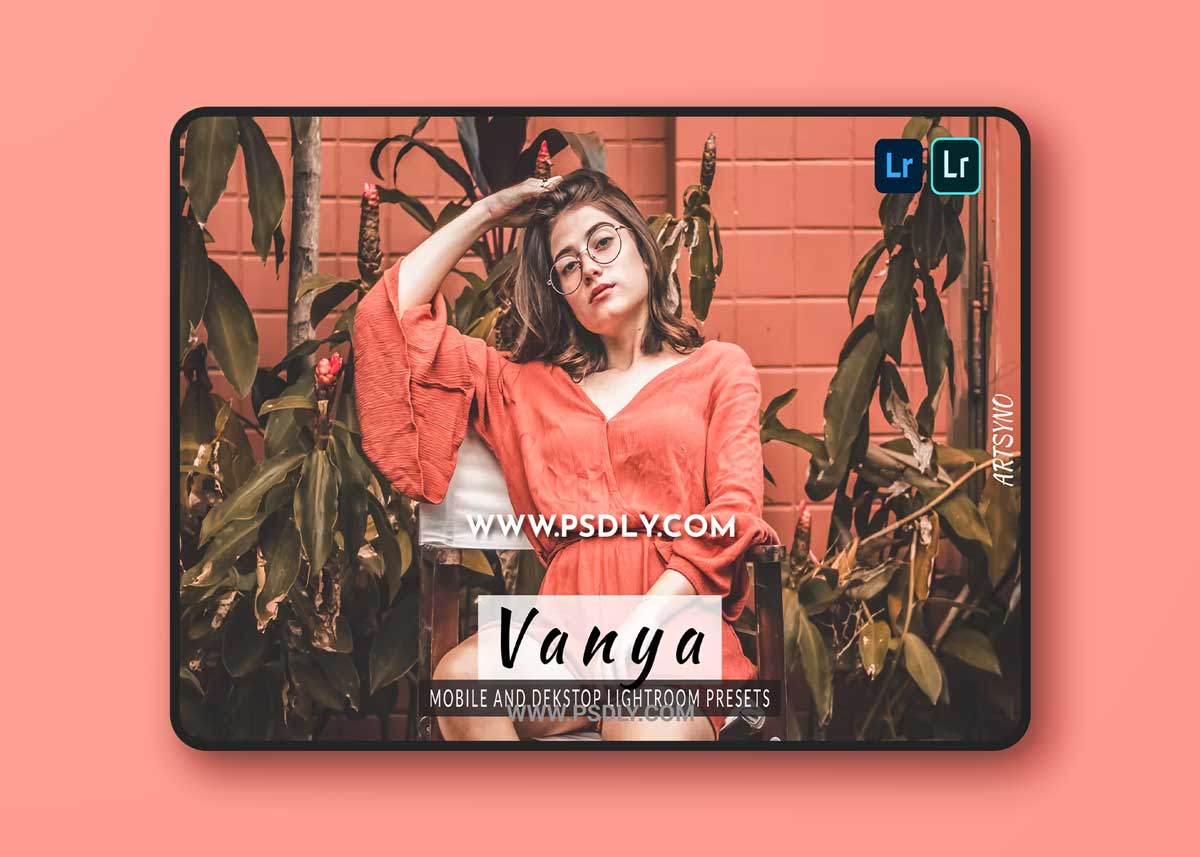 Zanya Lightroom Presets Dekstop and Mobile