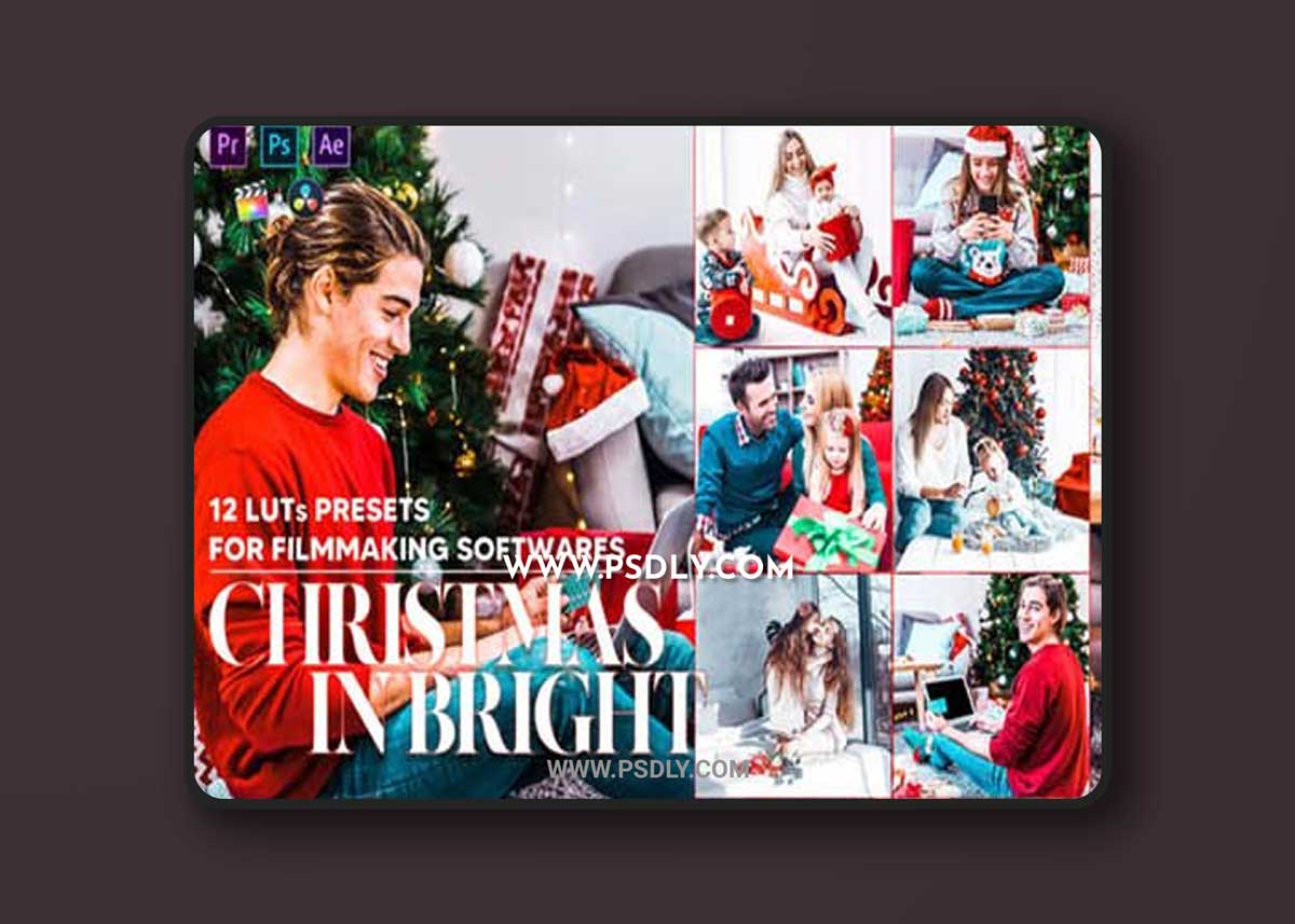12 Christmas in Bright Video LUTs Preset