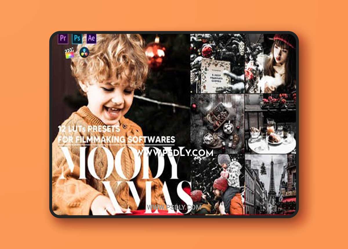 12 Moody Xmas Video LUTs Presets