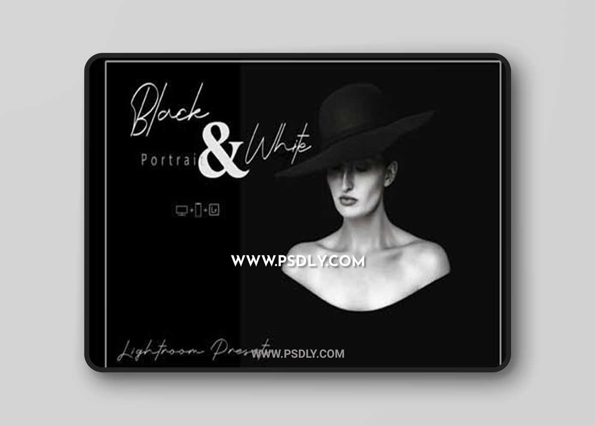 20 Black and White Portrait LR Presets