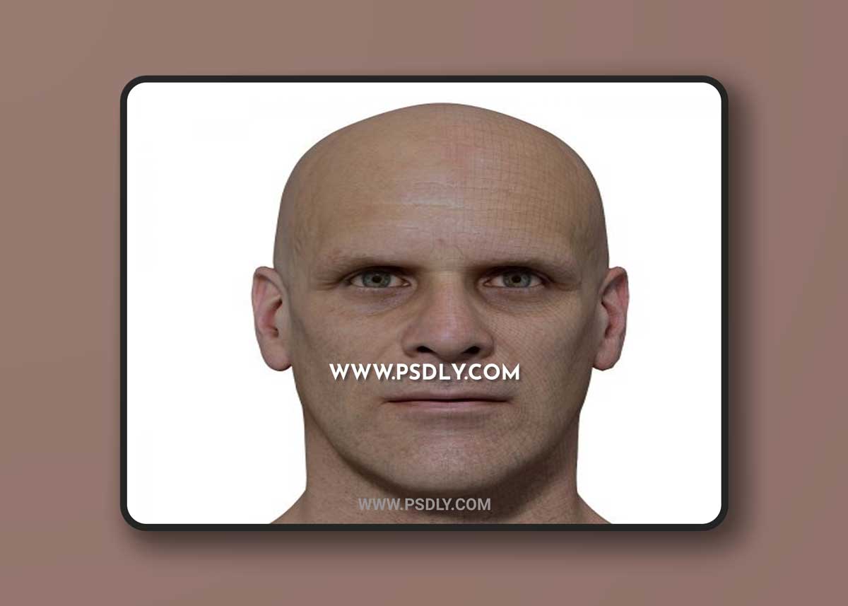 3D Scan Store - Retopologised Male Head 022