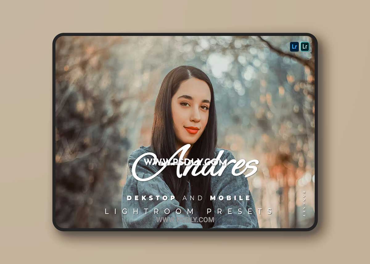 Andres Desktop and Mobile Lightroom Preset