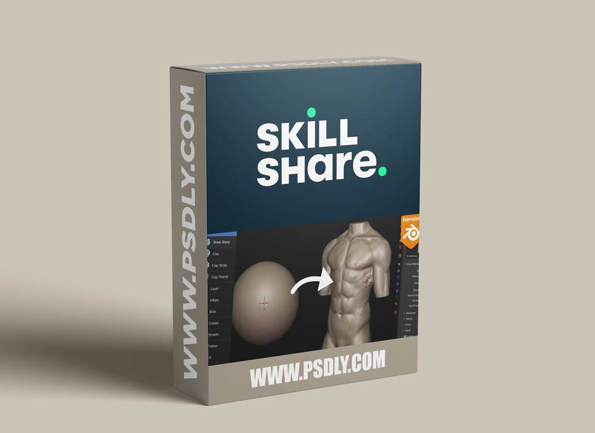 Blender: Sculpt a male torso for beginners