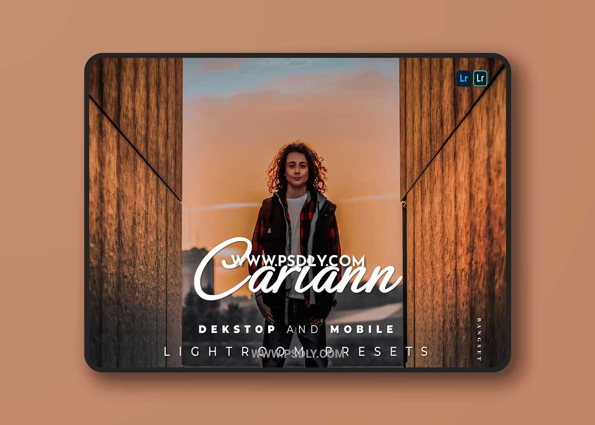 Cariann Desktop and Mobile Lightroom Preset