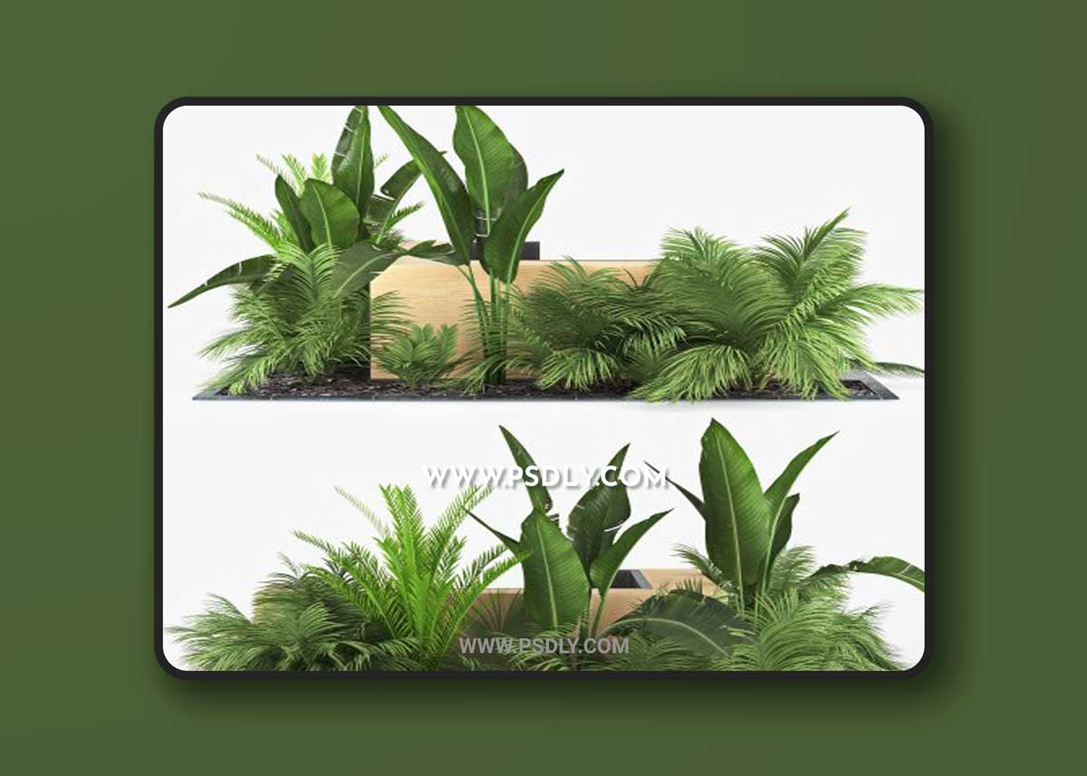 Cgtrader - Flowerbed Palm 3D Models