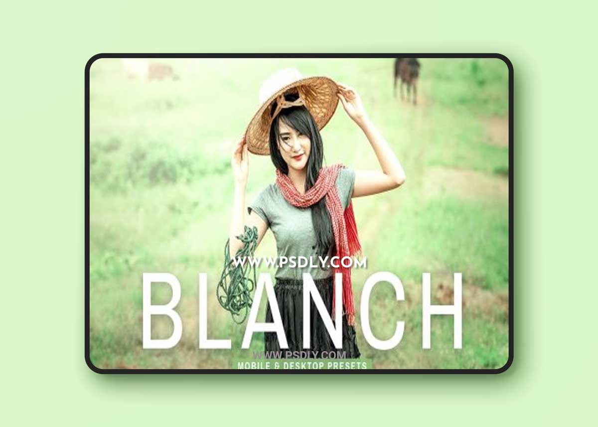 CreativeMarket - Blanch Pro Lightroom Presets 6896111