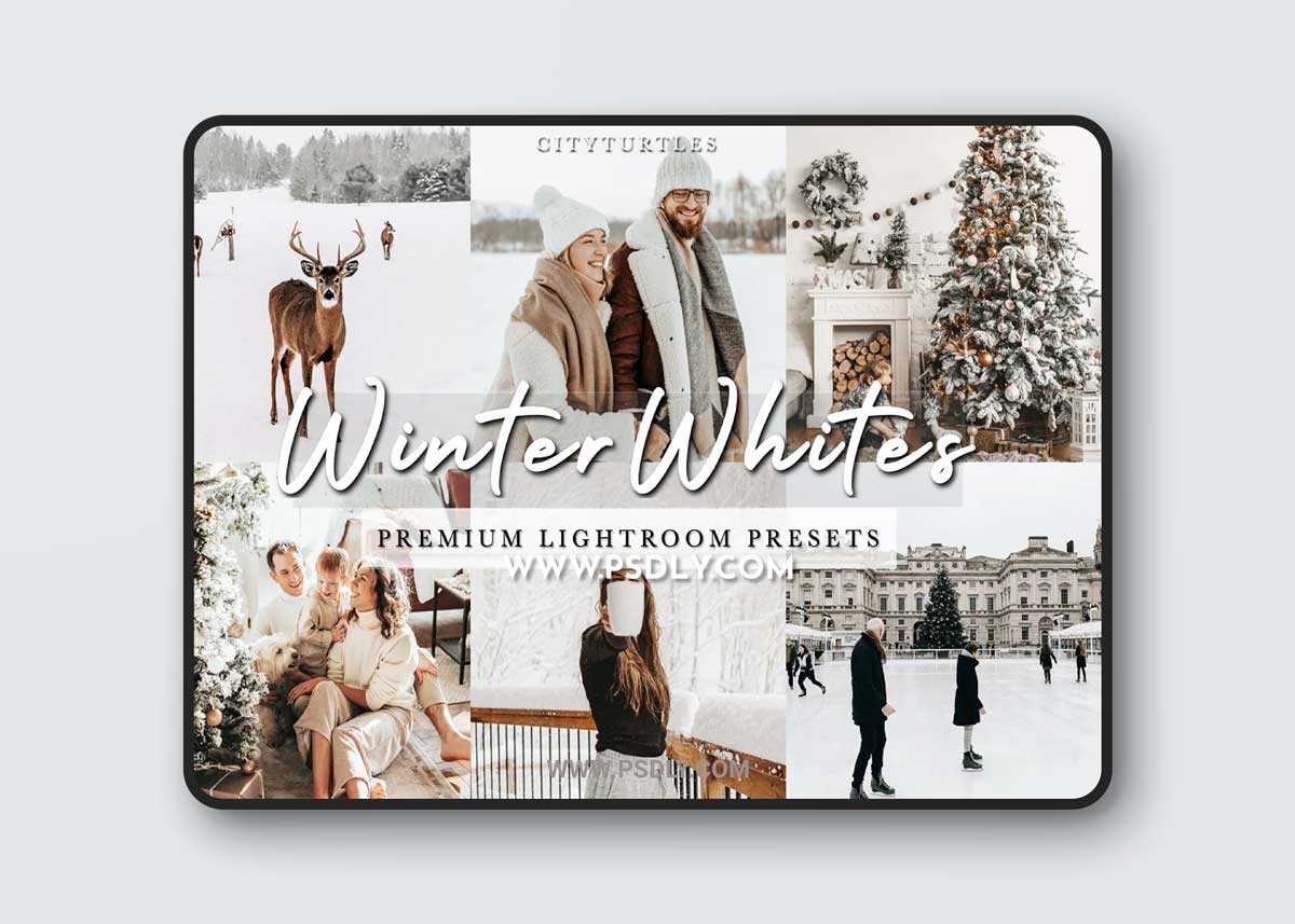 CreativeMarket - Bright Clean WINTER WHITES Presets 4332433