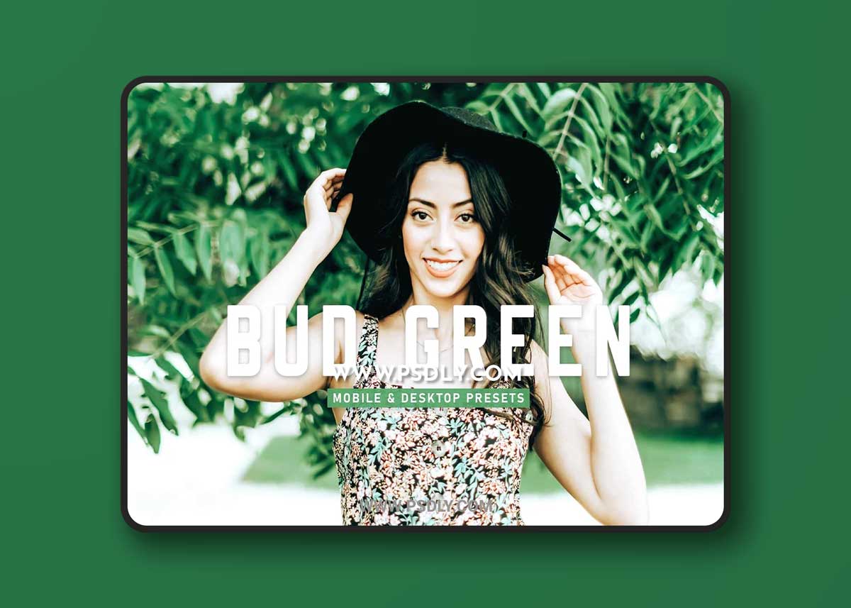 CreativeMarket - Bud Green Pro Lightroom Presets 6923040