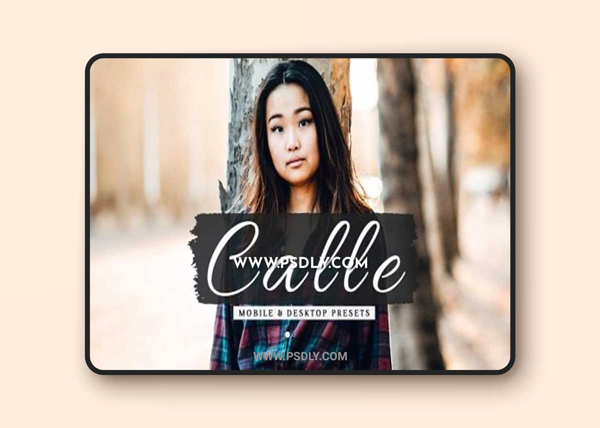CreativeMarket - Calle Pro Lightroom Presets 6811780