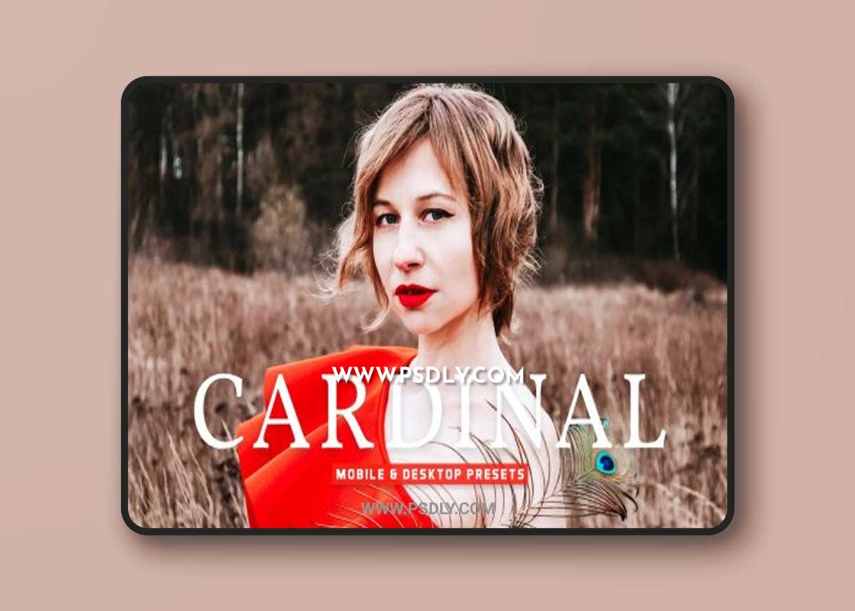 CreativeMarket - Cardinal Pro Lightroom Presets 6896230