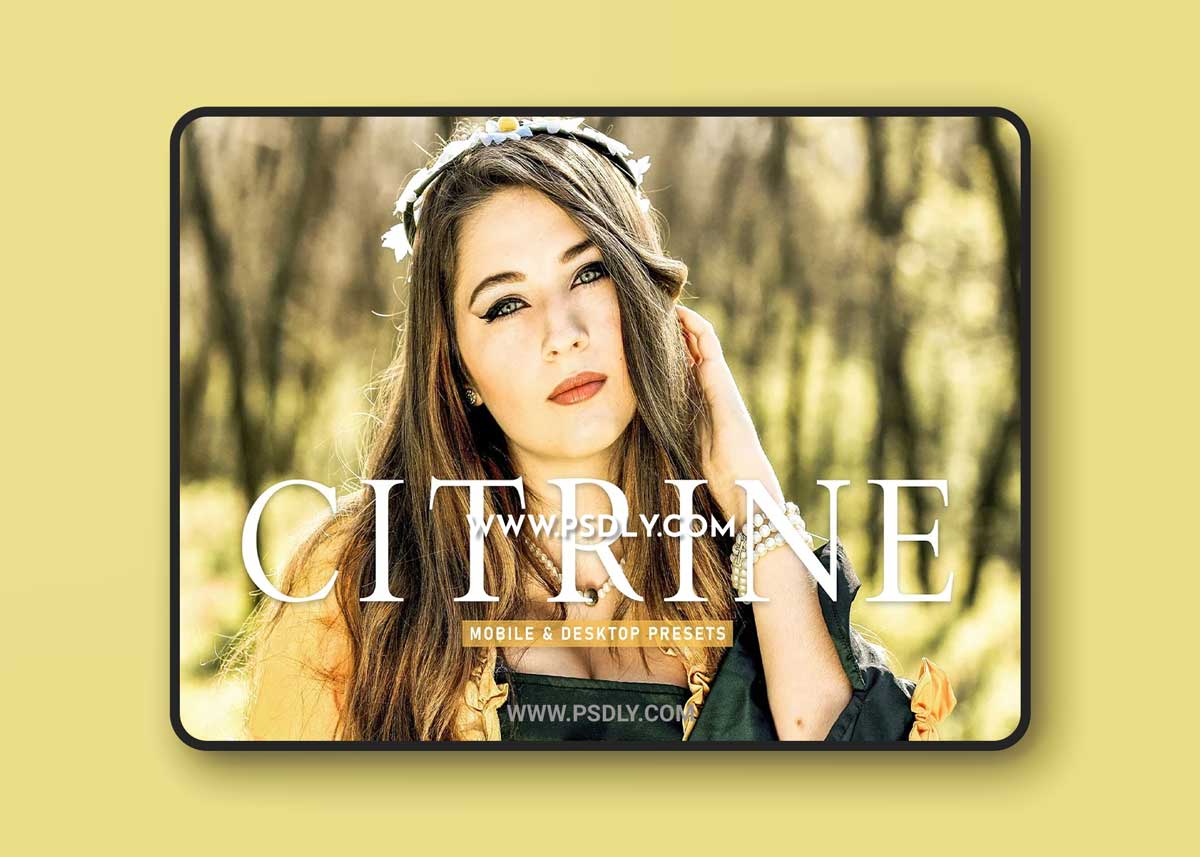 CreativeMarket - Citrine Pro Lightroom Presets 6923254