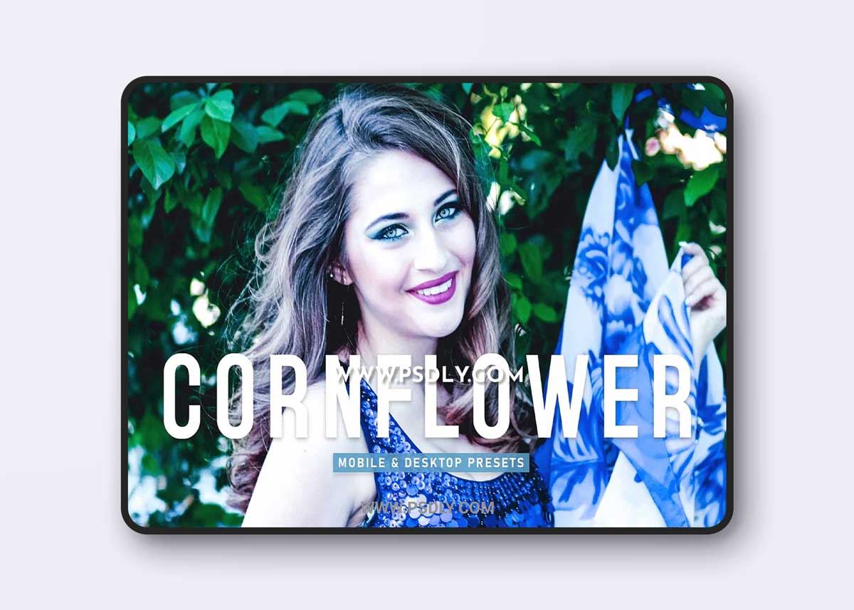 CreativeMarket - Cornflower Pro Lightroom Presets 6923255