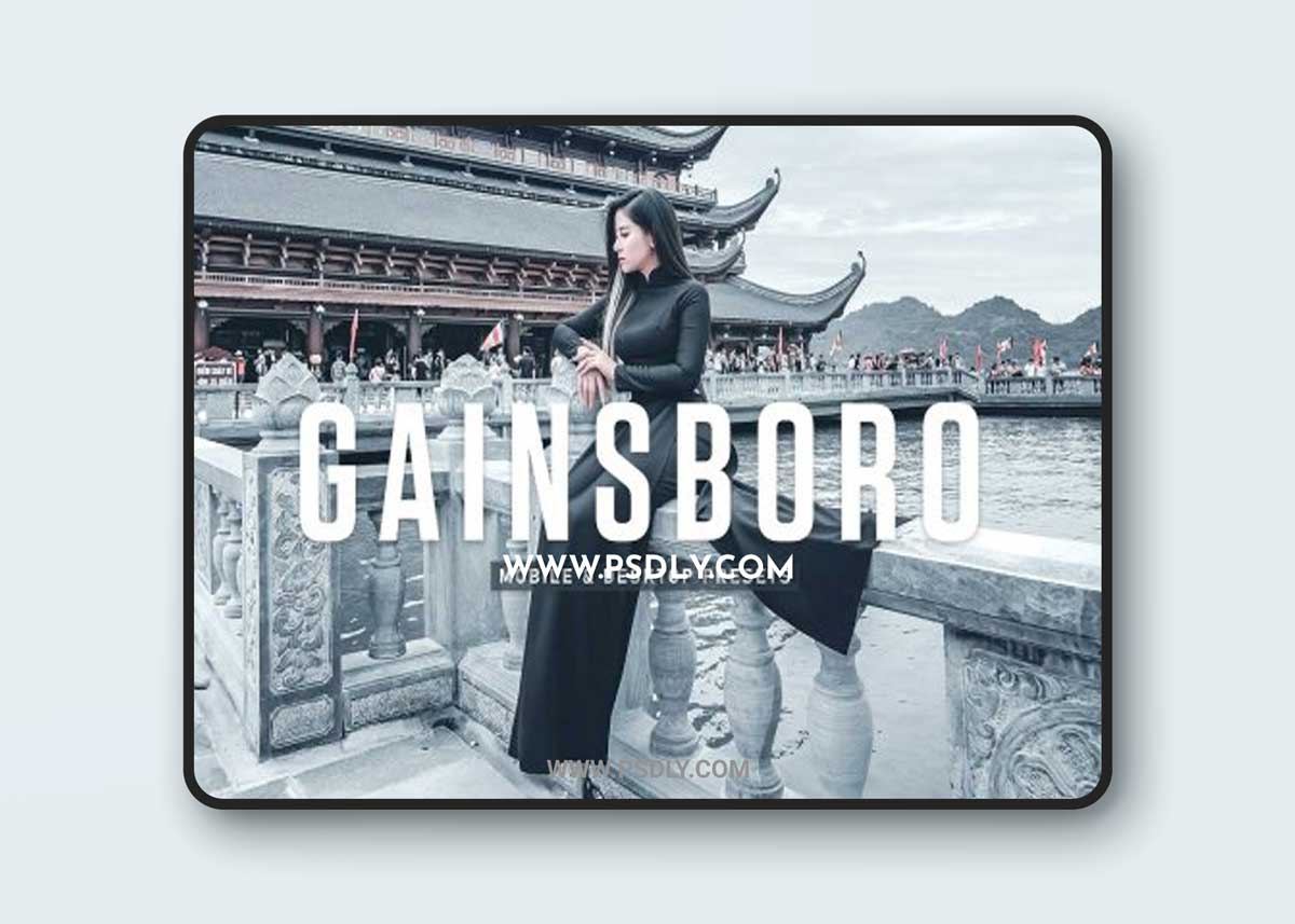 CreativeMarket - Gainsboro Pro Lightroom Presets 6923959