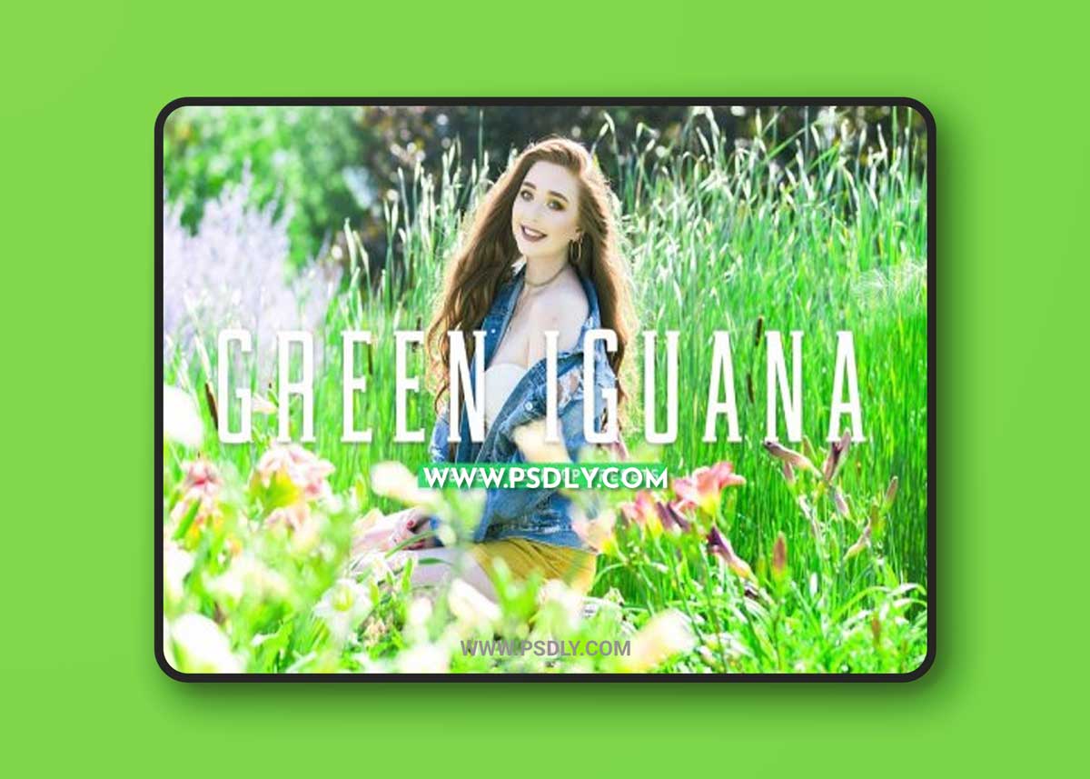 CreativeMarket - Green Lguana Pro Lightroom Presets 6923960