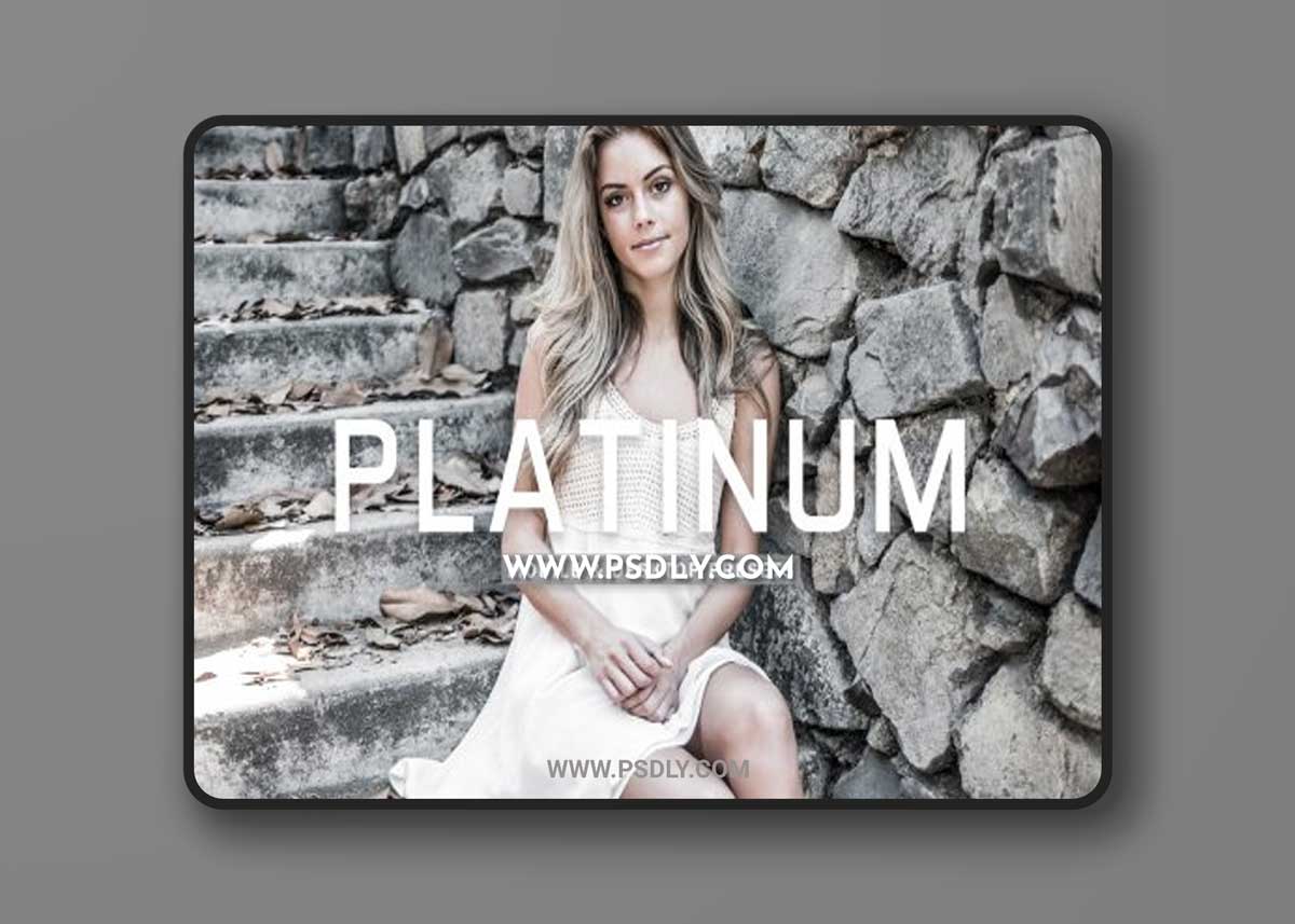 CreativeMarket - Platinum Pro Lightroom Presets 6915669