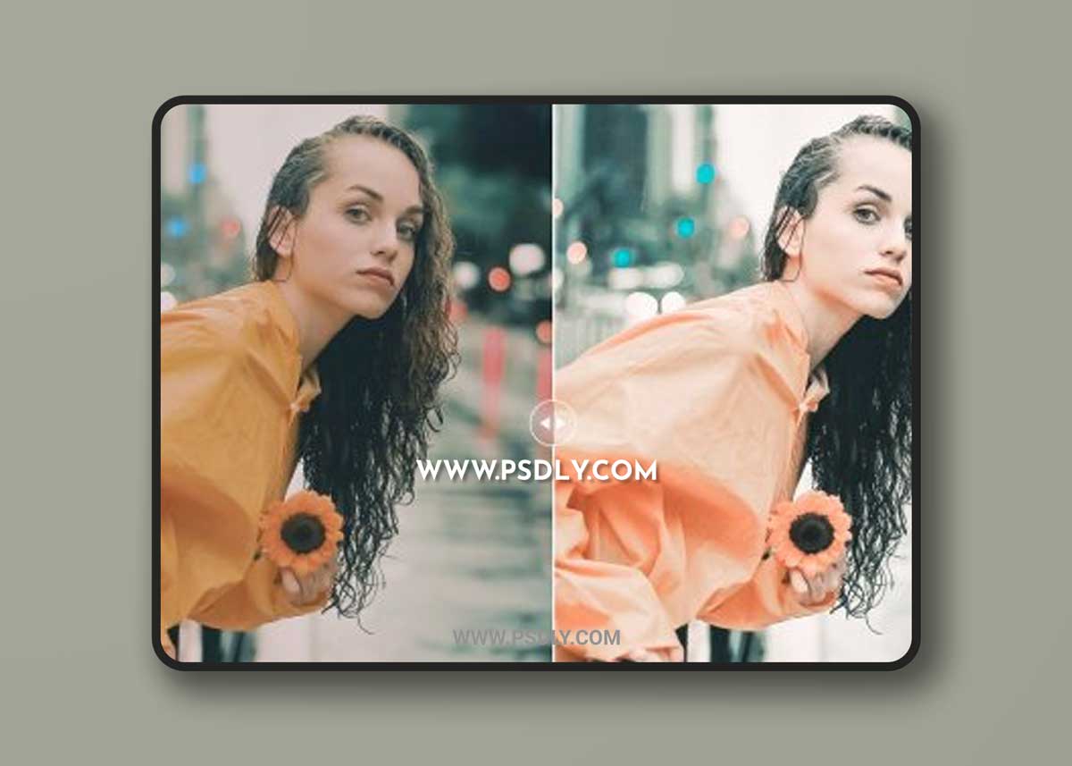CreativeMarket - Rainy Pro Lightroom Presets 6832534