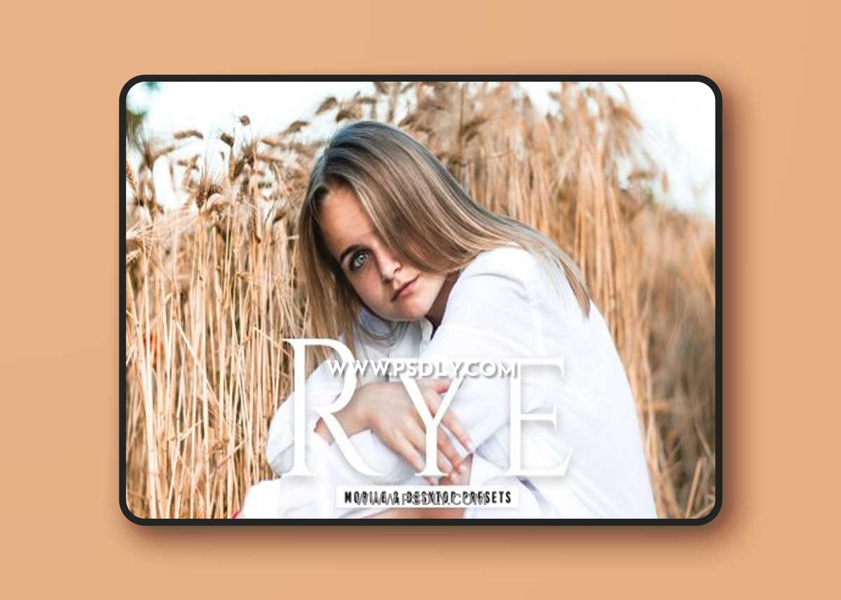 CreativeMarket - Rye Pro Lightroom Presets 6832559