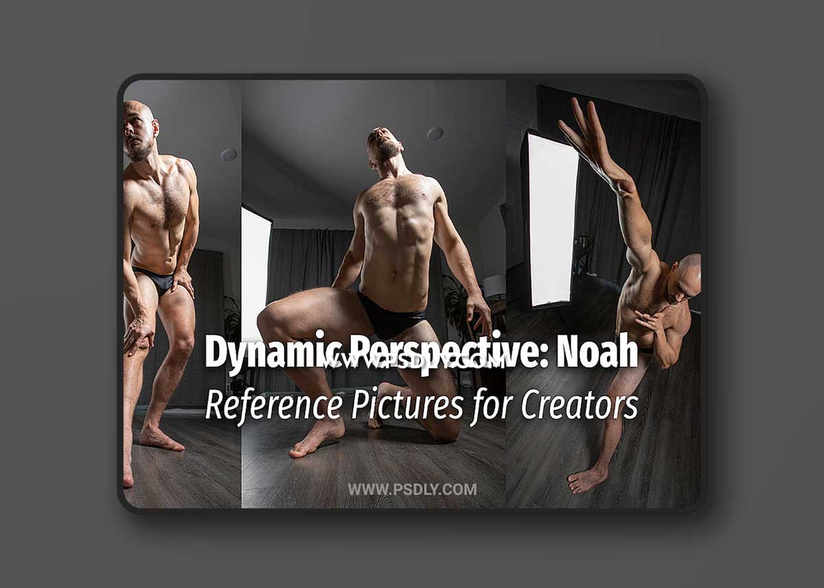 Cubebrush - Reference Pictures - Dynamic Perspective: Noah