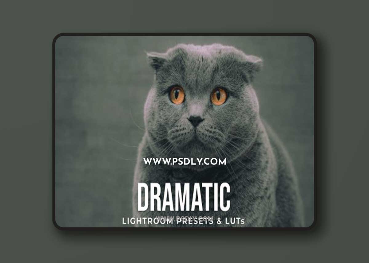 Dramatic Lightroom Presets & LUTs