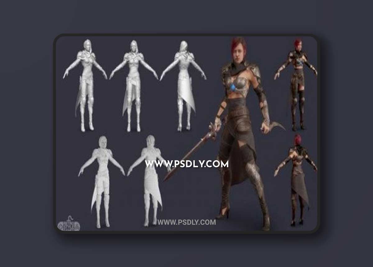 Female Warrior Assassin 3D Model