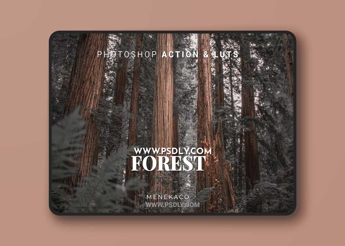 Forest Photoshop Action & LUTs