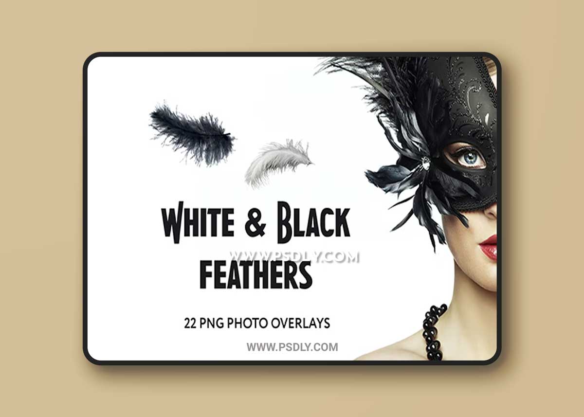GraphicRiver - 22 White and Black feathers Photo Overlays 34831392