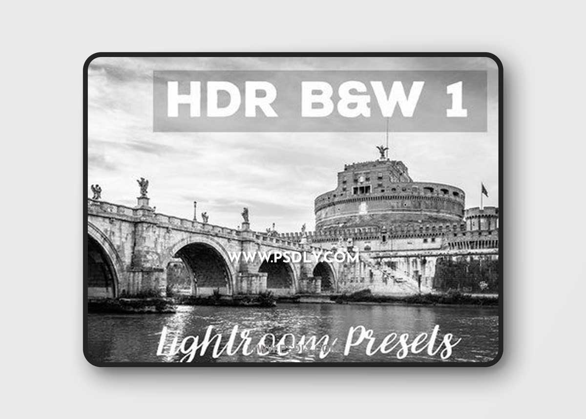 HDR B&W Lightroom Presets 962773