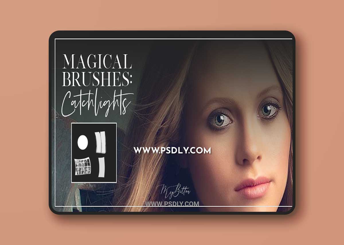 Meg Bitton - CATCHLIGHTS BRUSHES