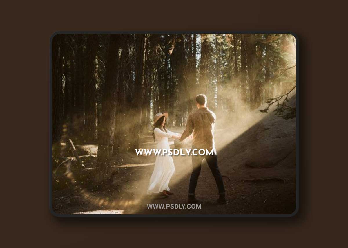 Meridian Presets - LLFx - Meg Loeks - Lens Flare V1