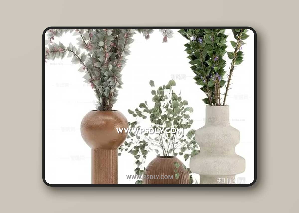 Modern ceramic vase potted plants