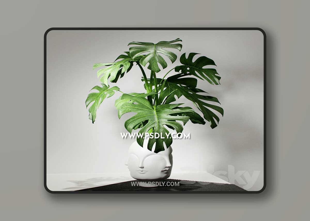 Monstera vase DORA MAAR by Jonathan Adler