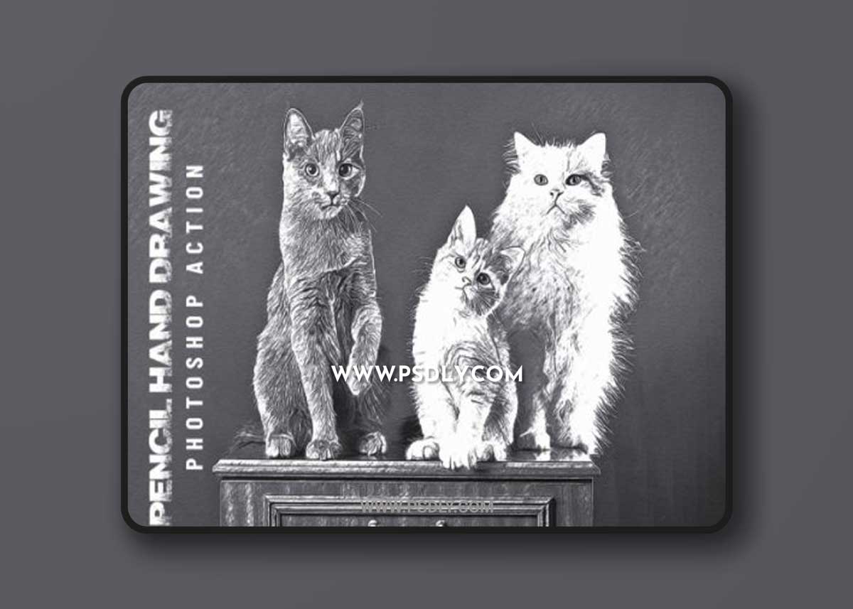 Pencil Hand Drawing Action