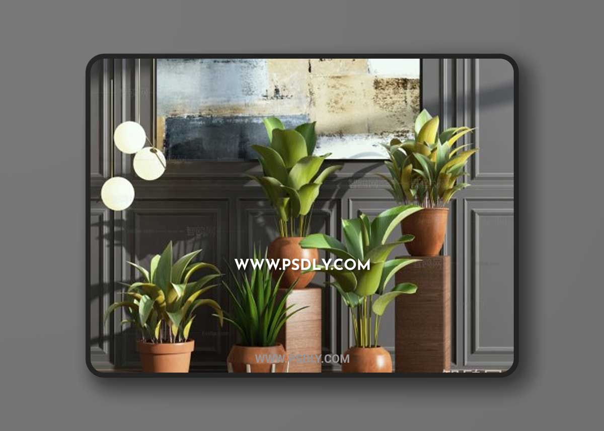 Plants collection 108771